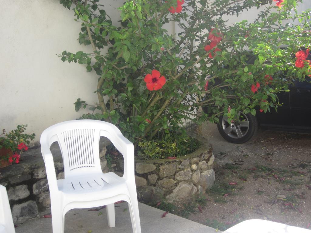 B&B Vaiana Maida Kültér fotó